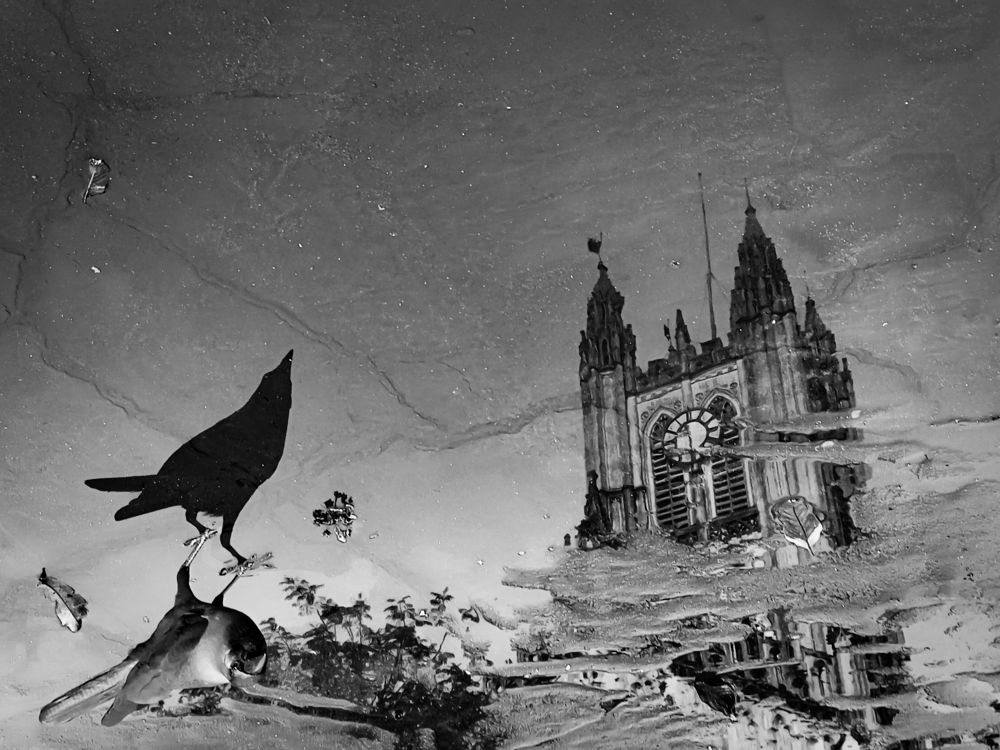 Reflection Of The Church & A Crow On A Rainy Day.