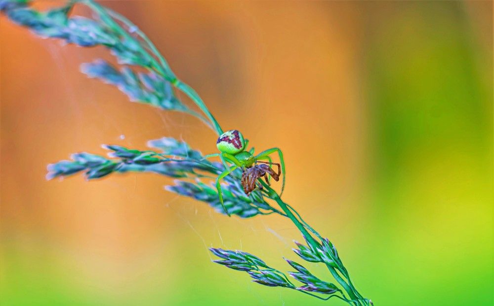 Photograph by Алексей Сиваков