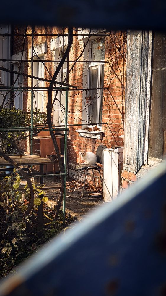 Городской двор