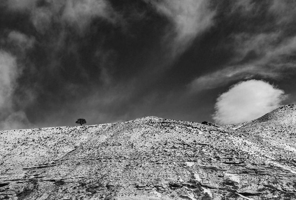 Фотография автора Vahid Basiri