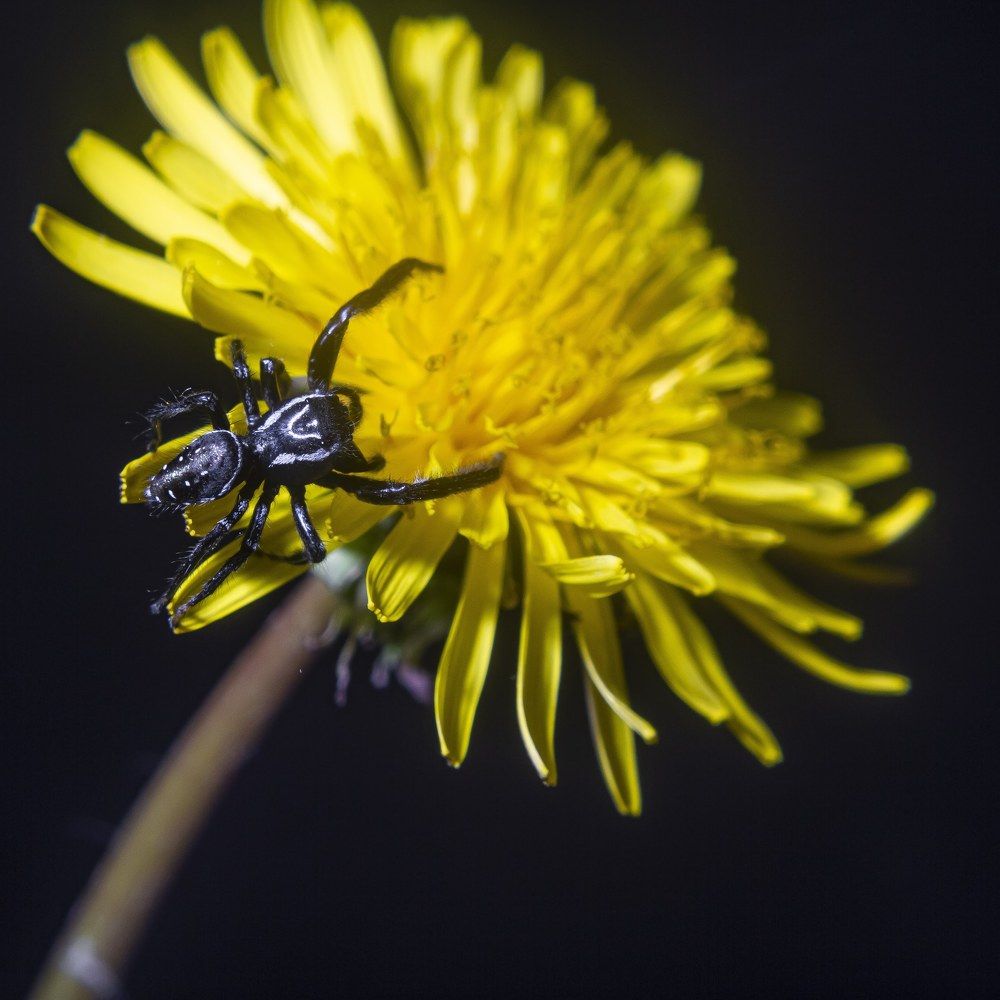 Photograph by Ricardo Sanchez Ruiz