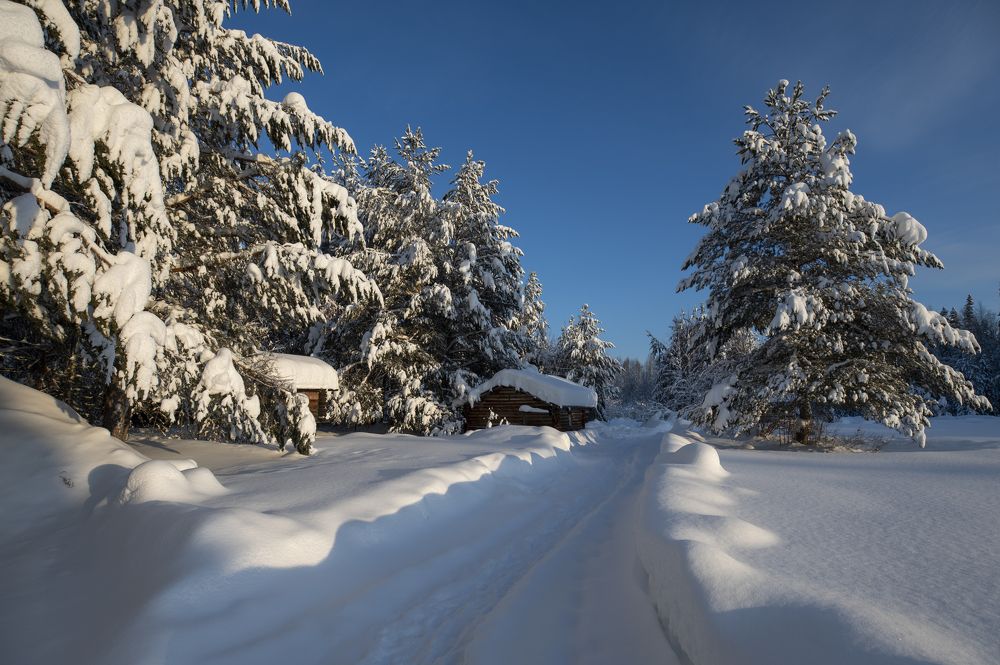 Photograph by Татьяна Борисова