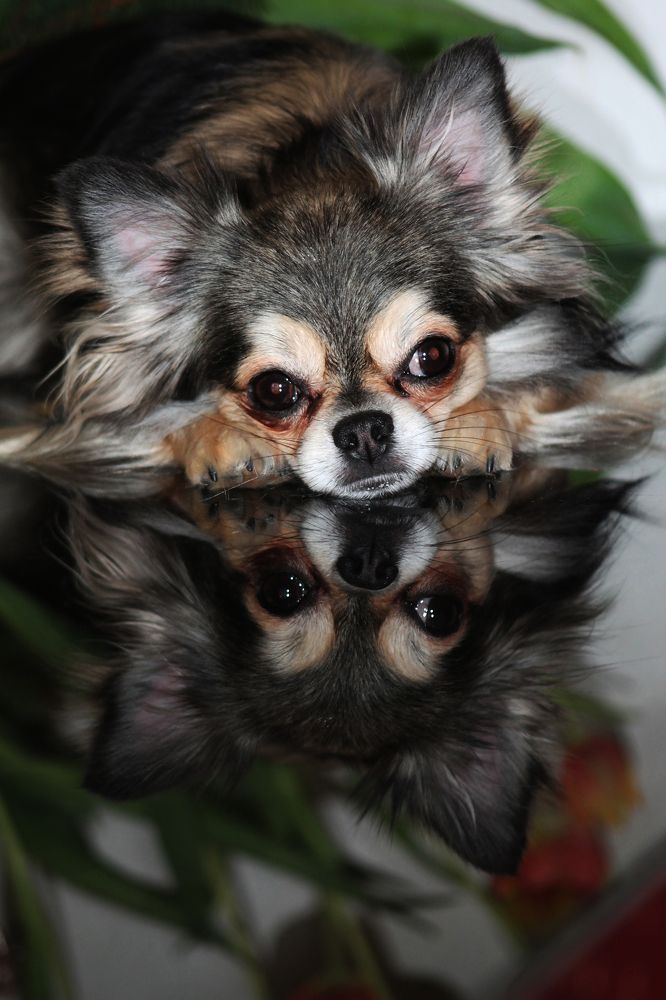 Photograph by Диана Ульянцева