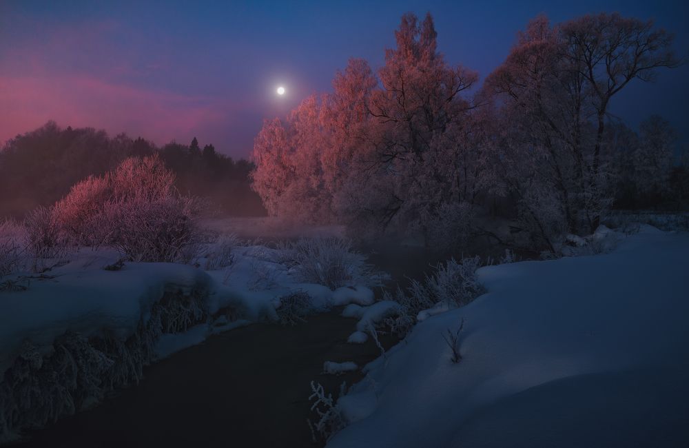 Перед рассветом