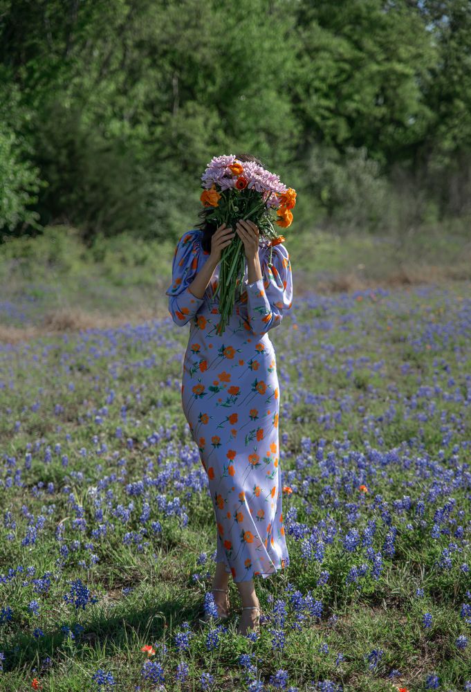 Texas Bluebonnets