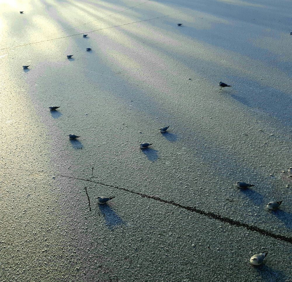 Photograph by Ламейко Светлана