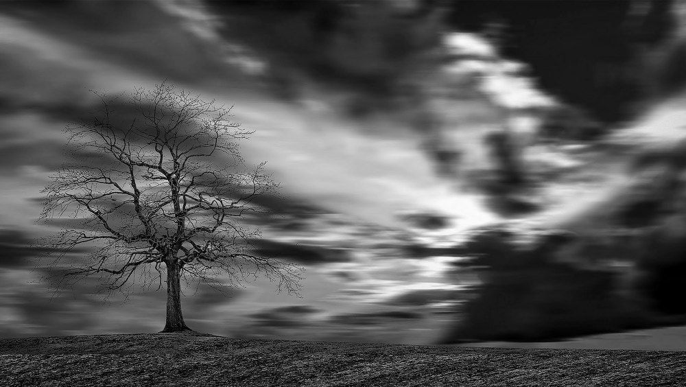 Photograph by Ricardo Sanchez Ruiz