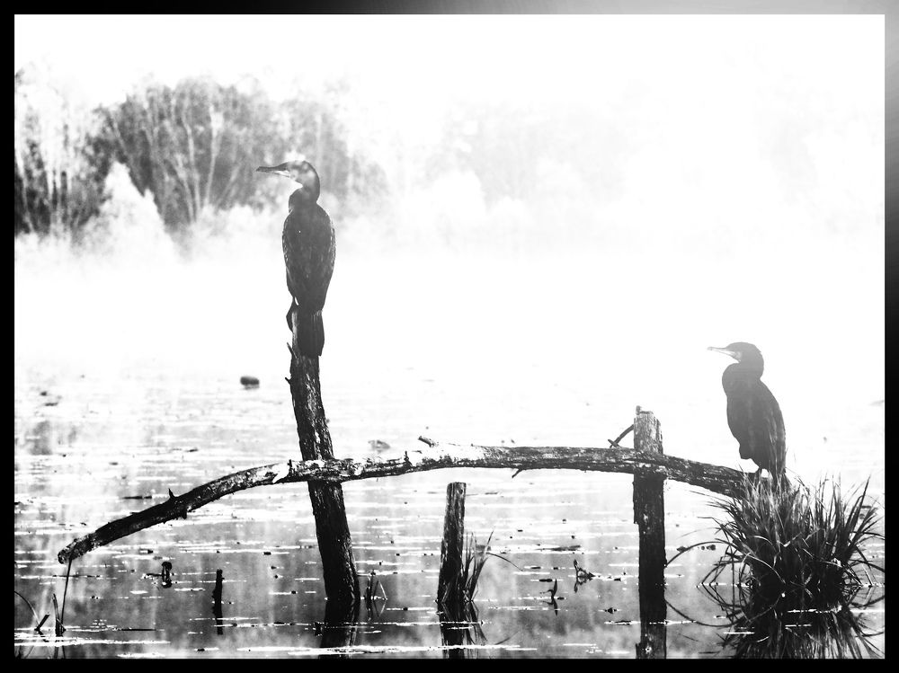 Photograph by Adam Lorenc