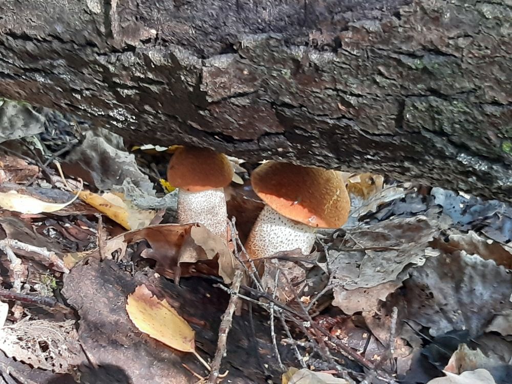 Photograph by Игорь Пахоруков