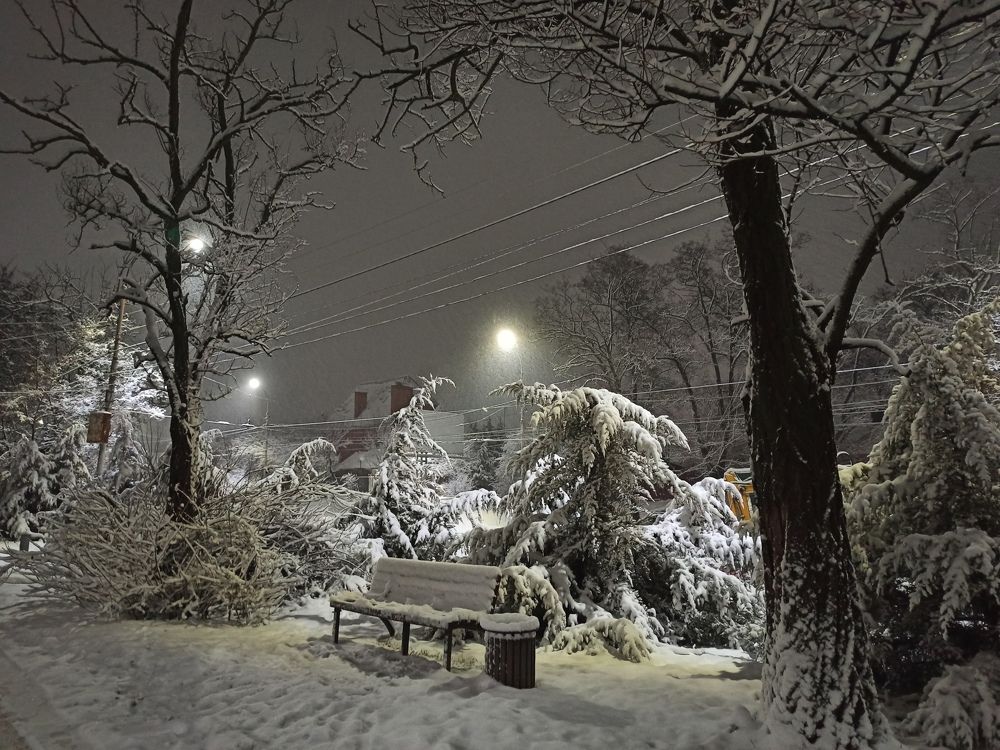 Photograph by Оксана Дмитриева