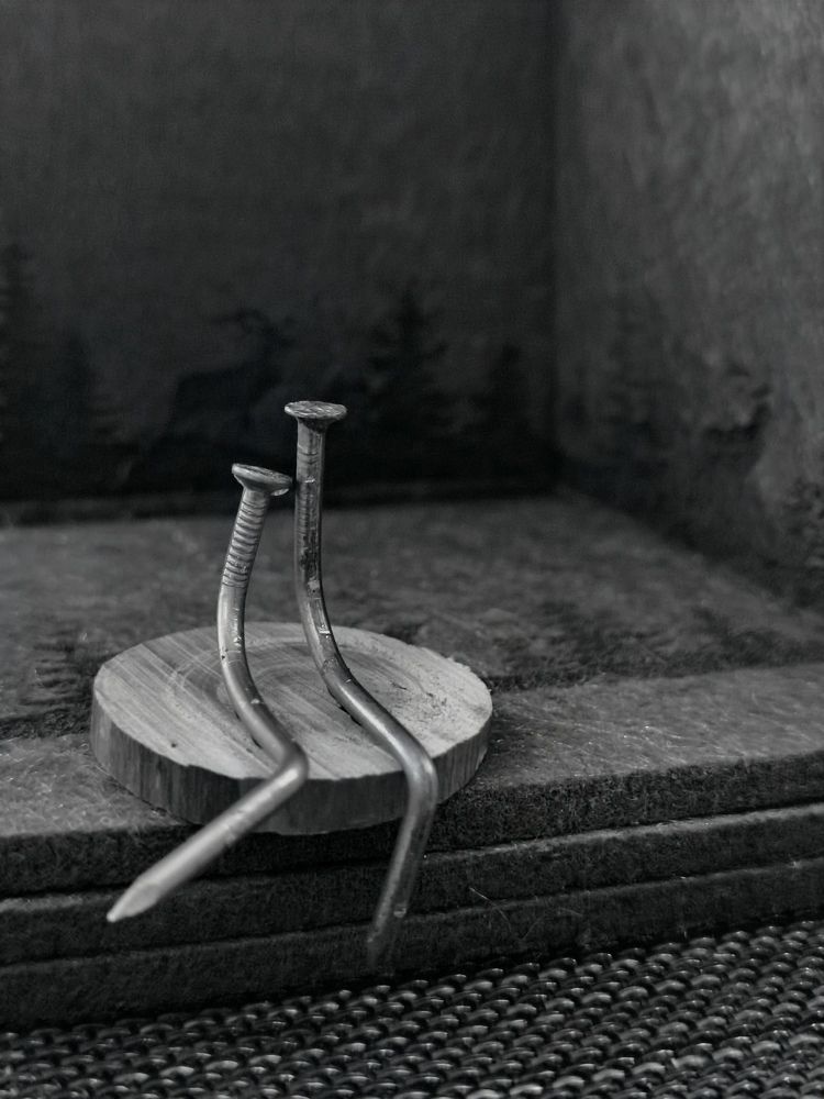 Photograph by Олеся Газиева