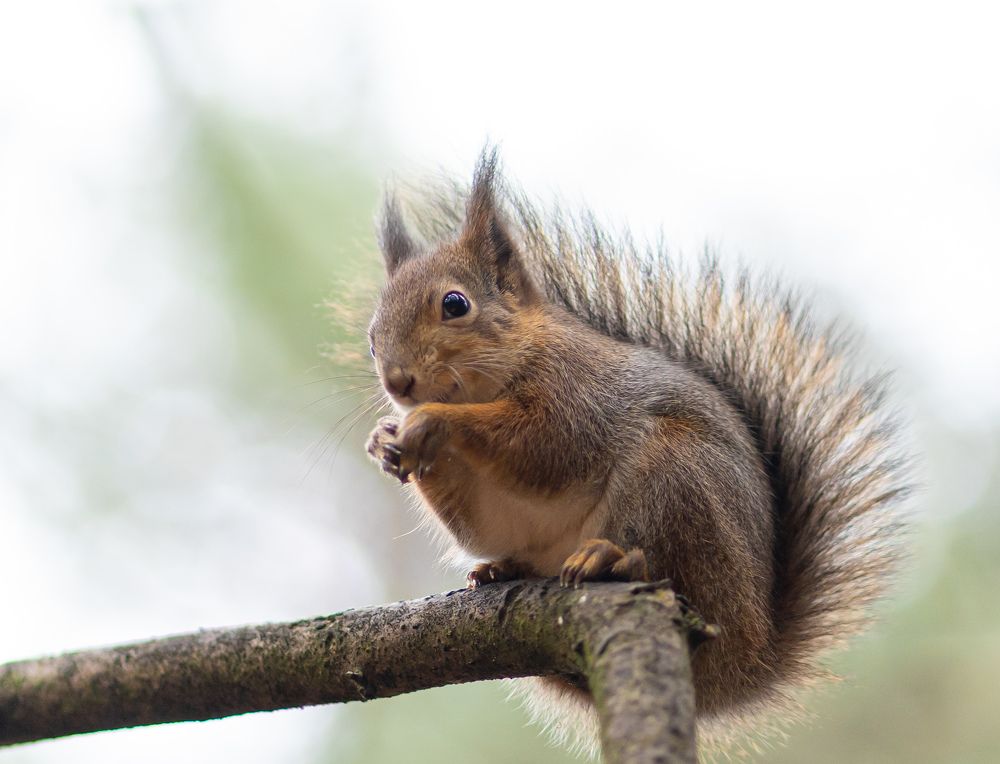 Photograph by Olga Zdančuka