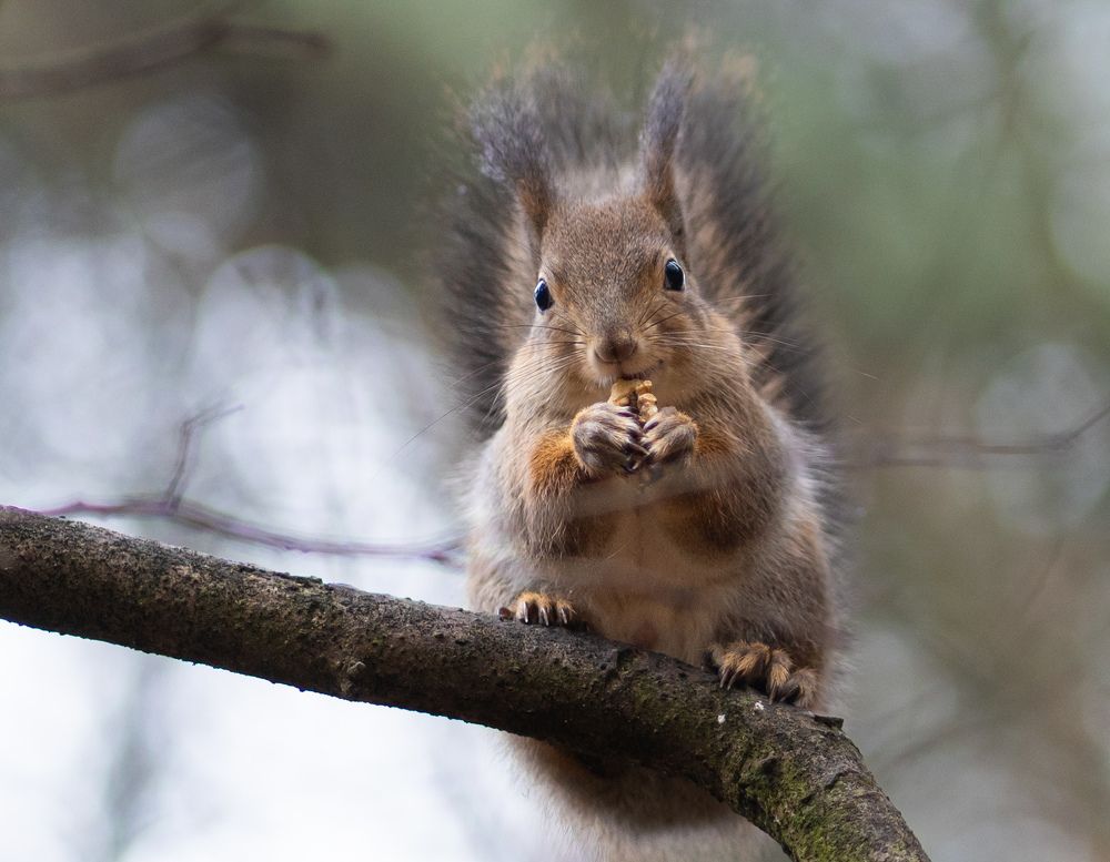 Photograph by Olga Zdančuka