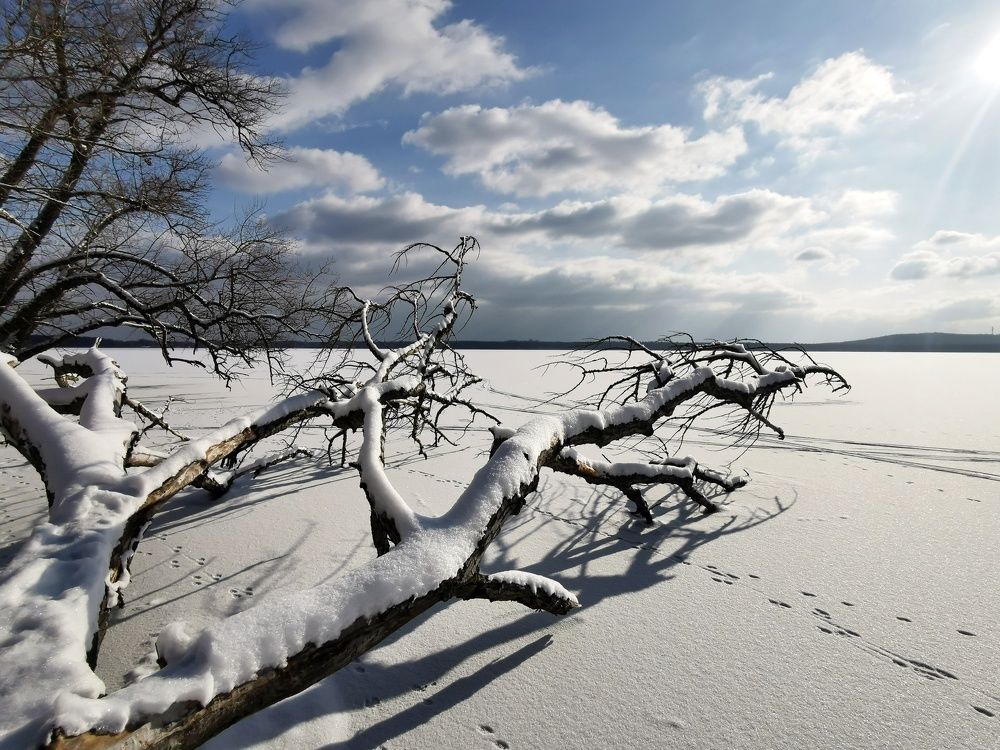 Photograph by Olga Weinberger