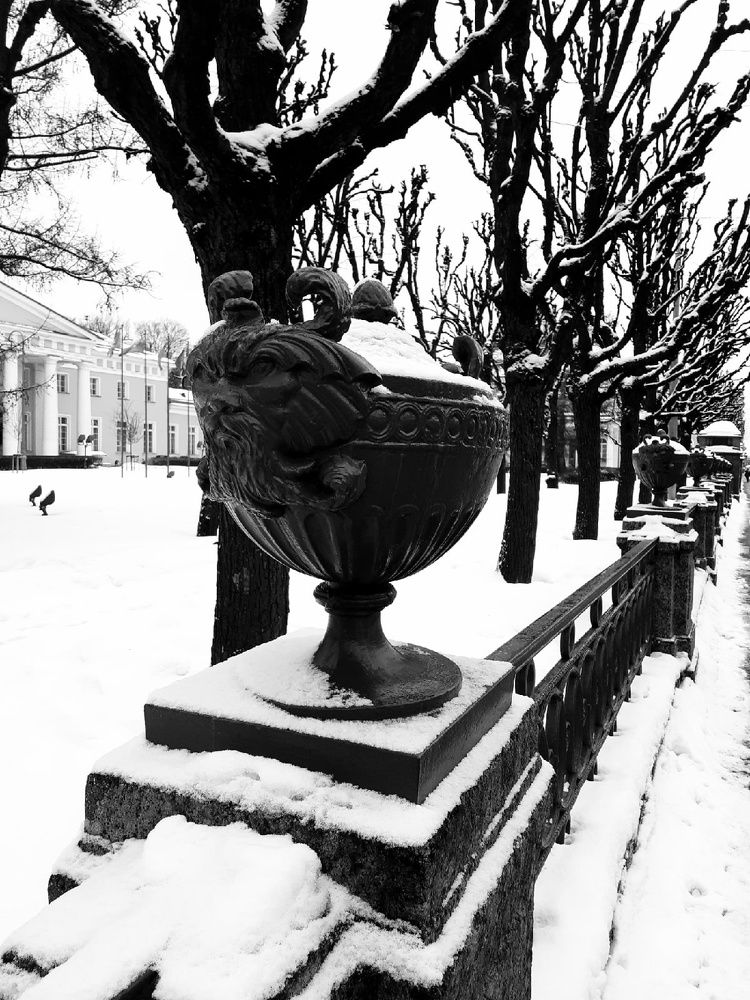 Photograph by Евгения Ульянова