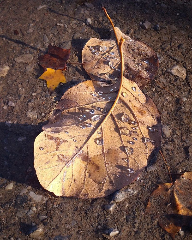 Фотография автора Elena Burgstaller