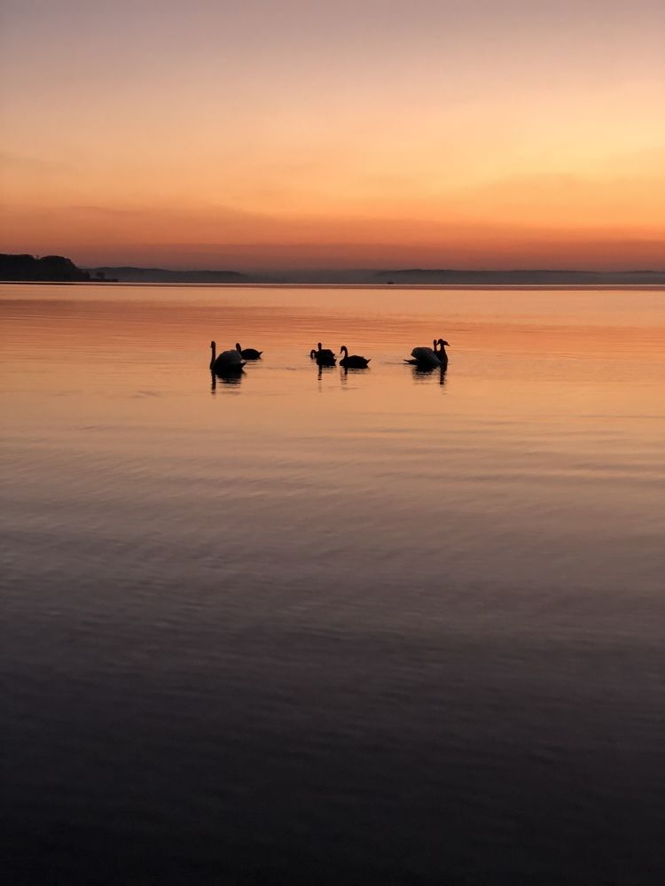 Photograph by Alesya