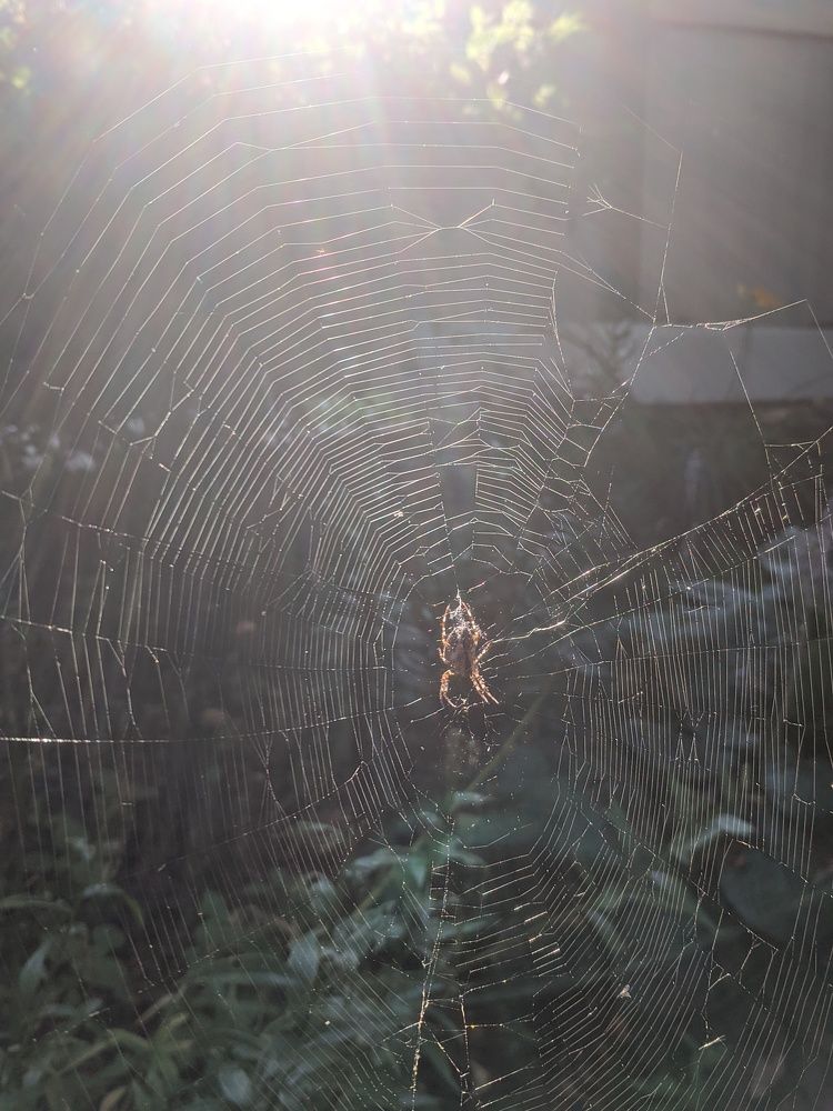 Photograph by Alesya