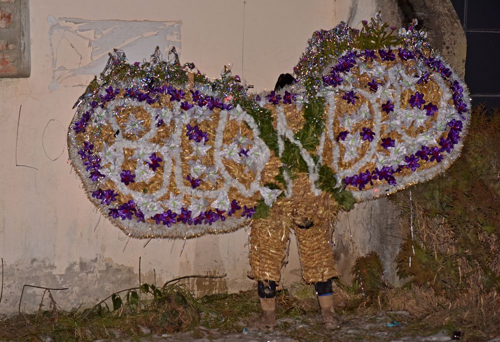 Photograph by Аніськов Сергій Миколайович