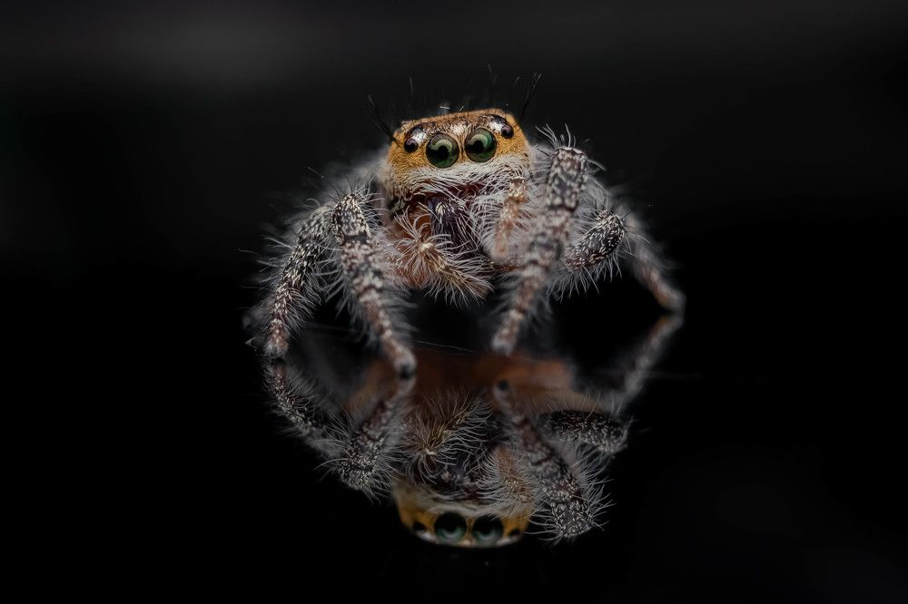 Photograph by achmad kamal kamal