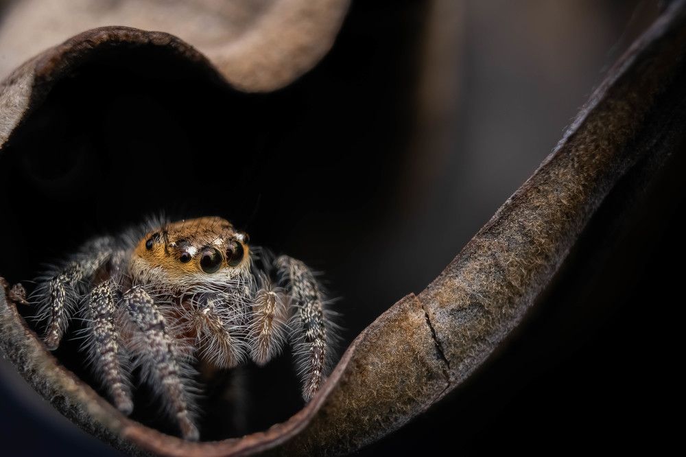 Photograph by achmad kamal kamal