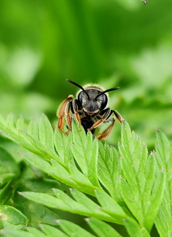 Photograph by Инна Макарчук