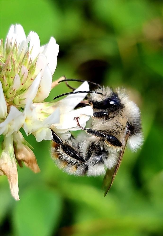 Photograph by Инна Макарчук