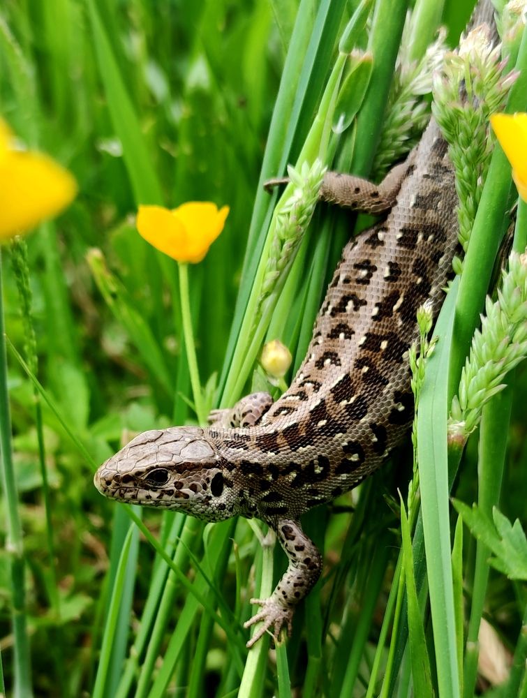 Photograph by Инна Макарчук