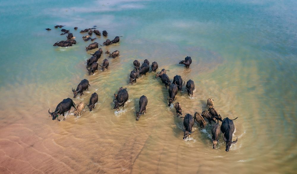 Photograph by Tuấn Nguyễn Tấn