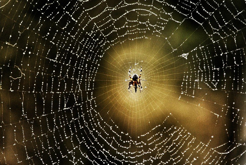 Photograph by Marian Lázaro