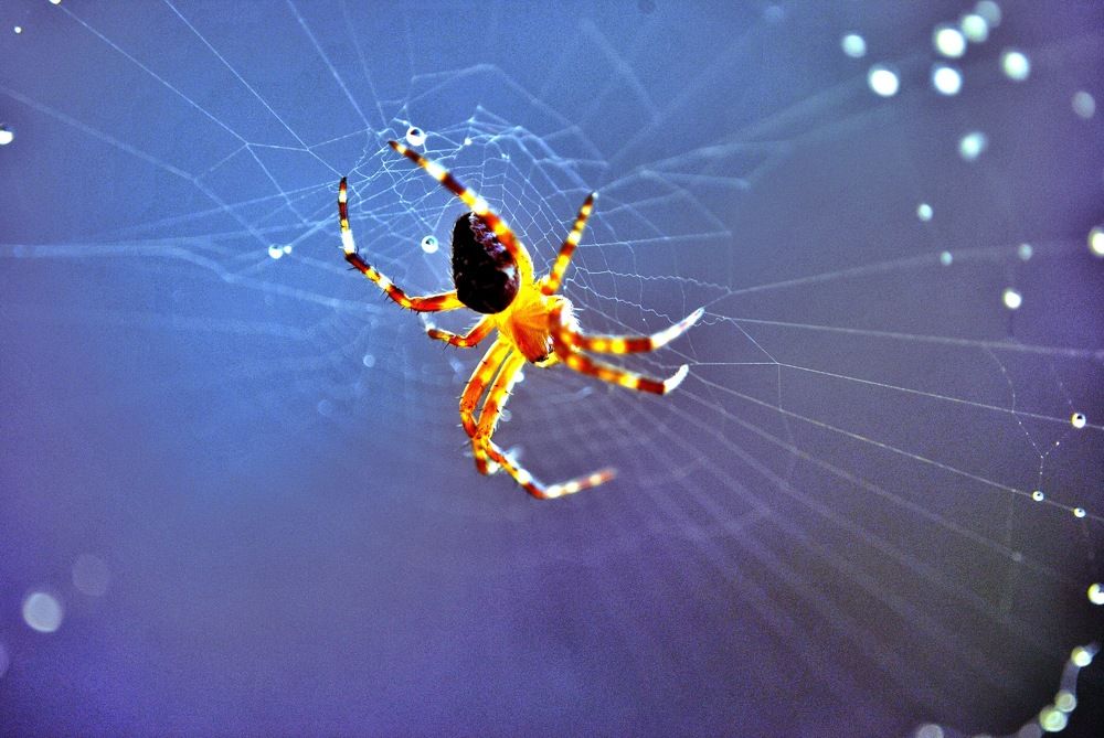 Photograph by Marian Lázaro