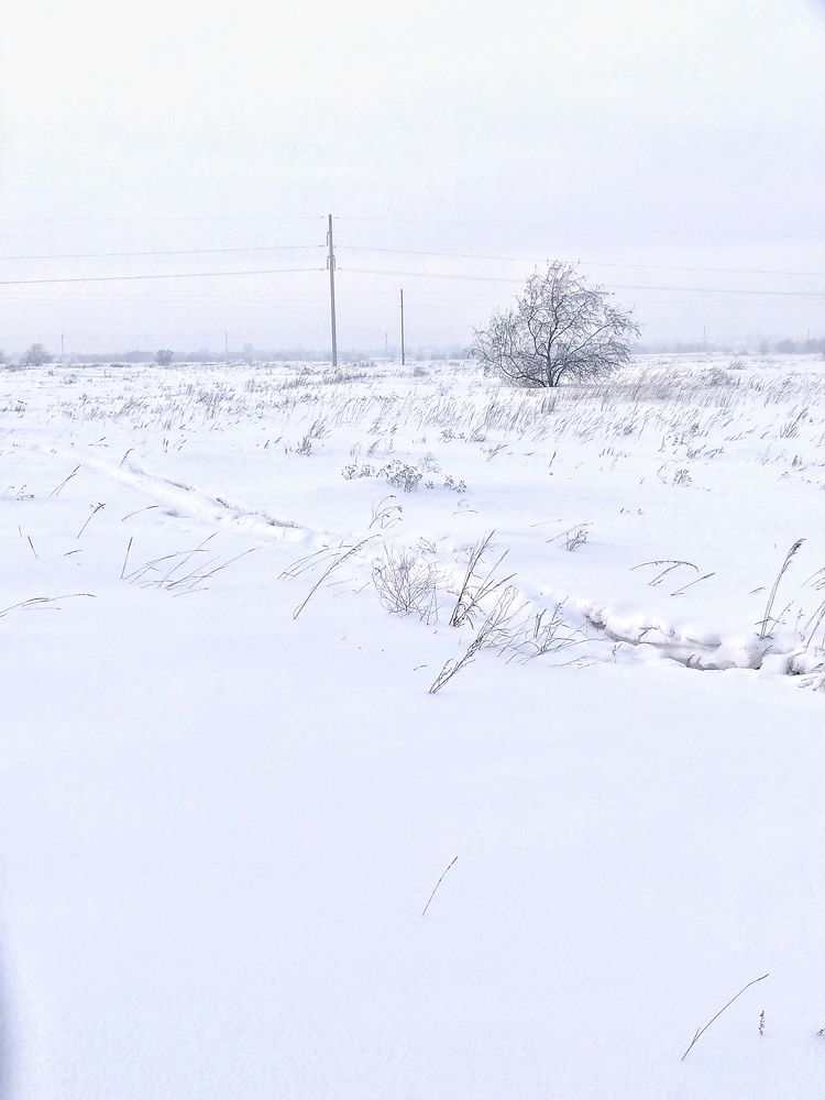 Photograph by Елена