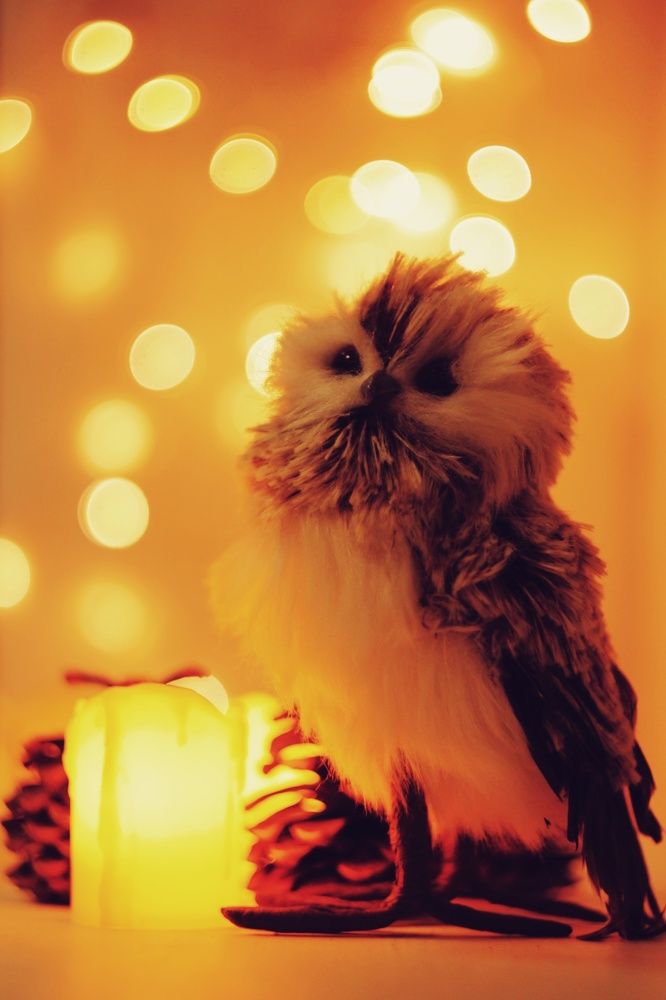 Photograph by Алёна Бондаренко