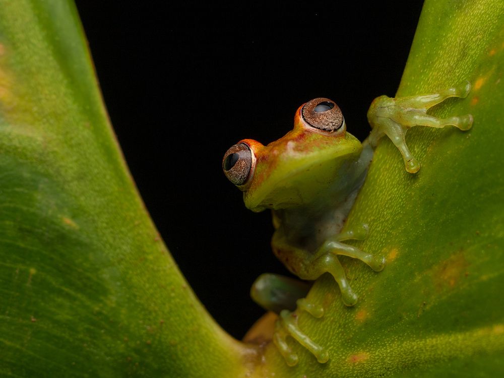 Photograph by Valdir Hobus