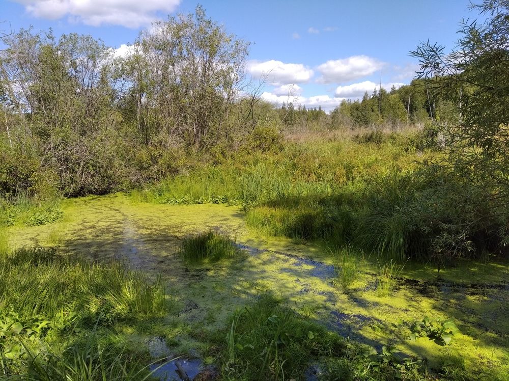 Photograph by Анастасия