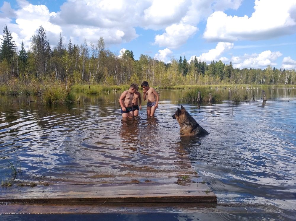 Хорошие друзья (Good friends)