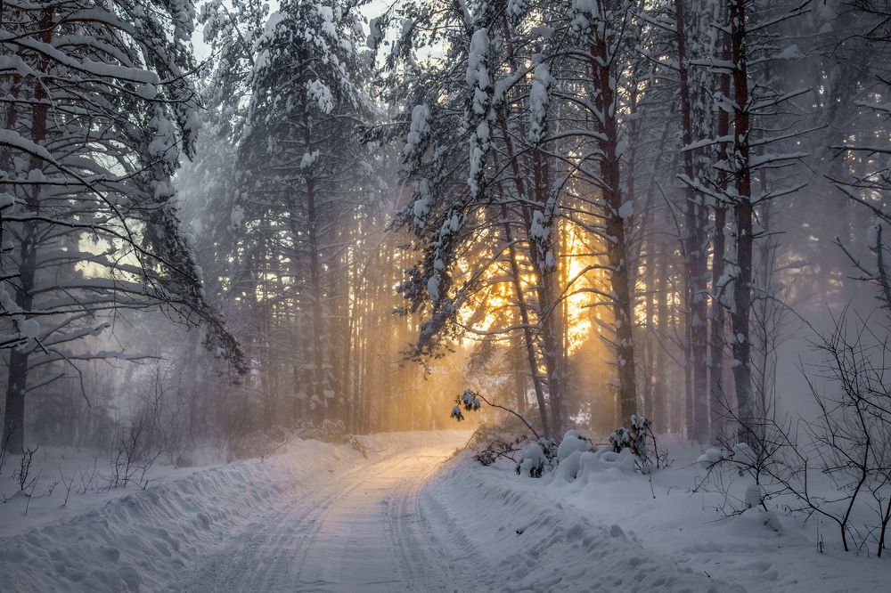 Photograph by Дмитрий Алексеев