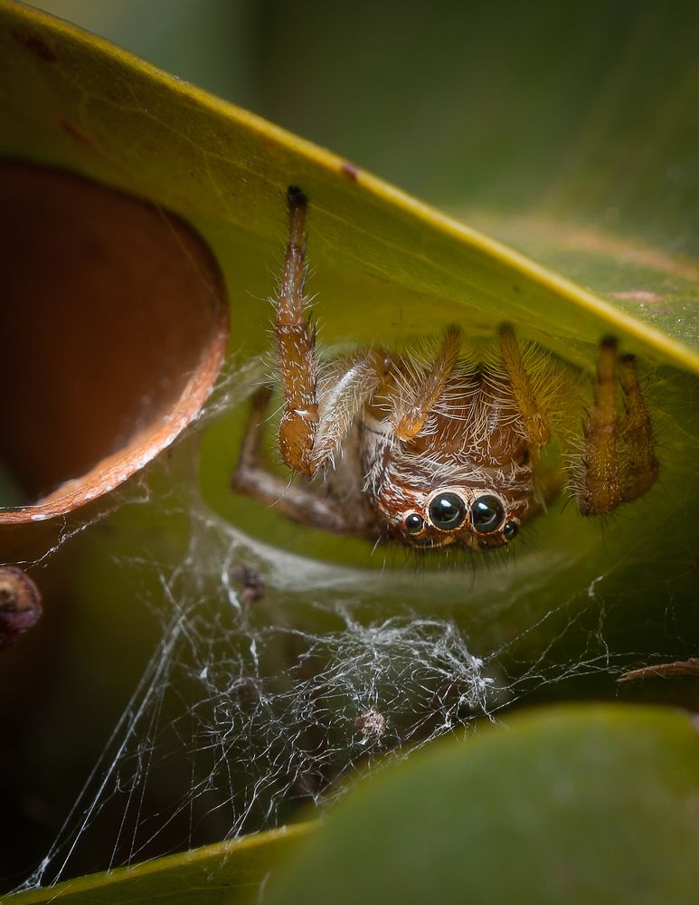 Photograph by João Paulo de Oliveira Freitas