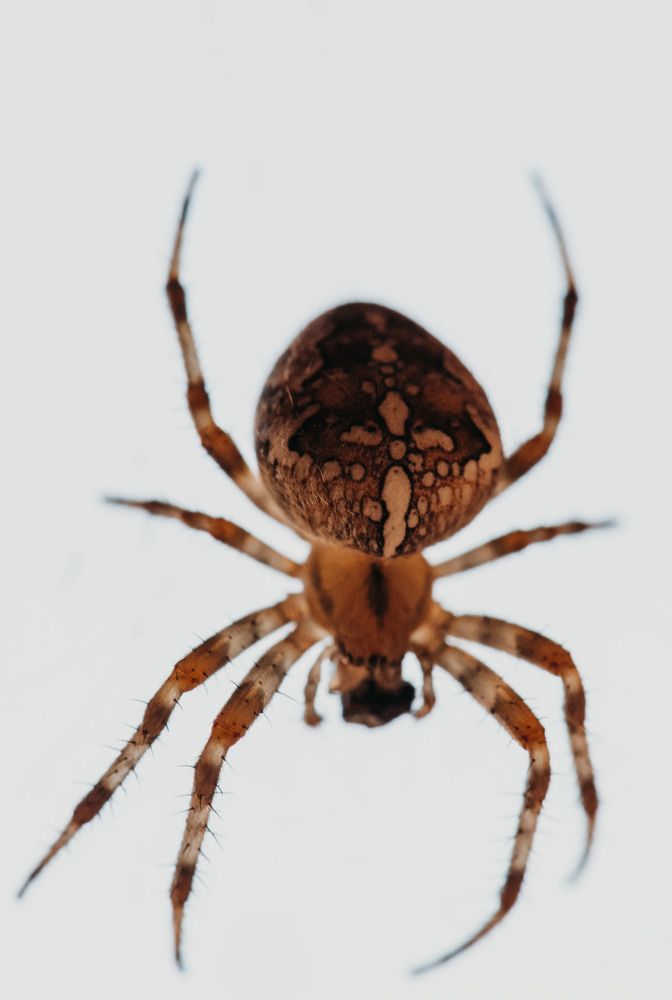 Photograph by Екатерина Гайдук