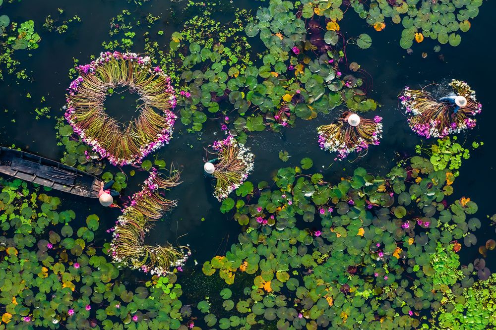 Photograph by Tuấn Nguyễn Tấn