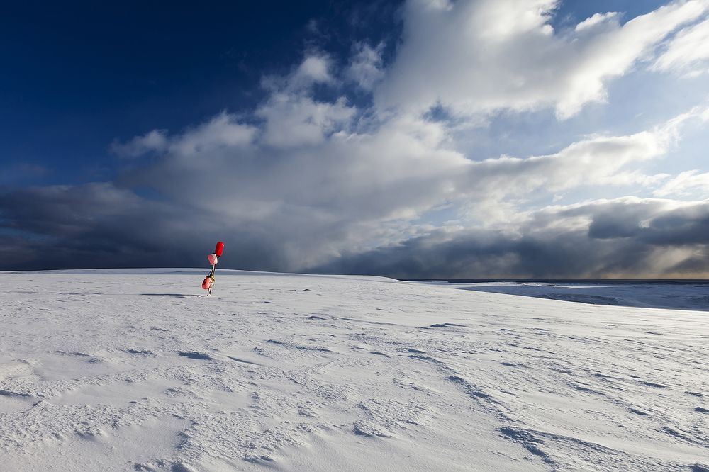 Фотография автора Дмитрий Уткин