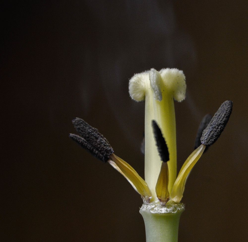 Photograph by Наталья Мордовская