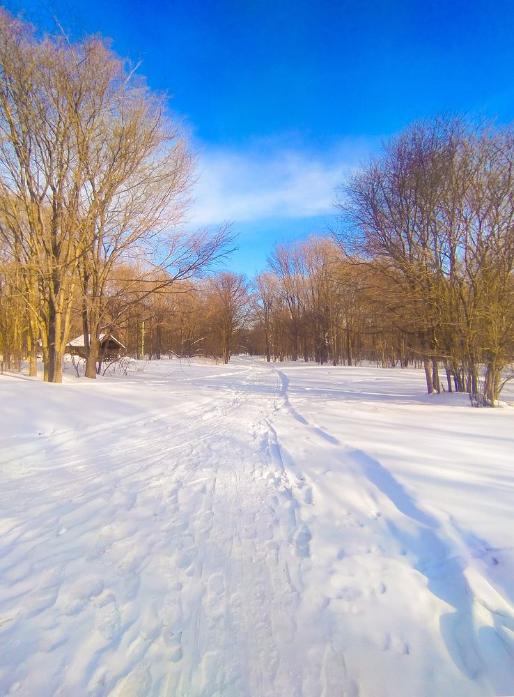 Photograph by Дарья