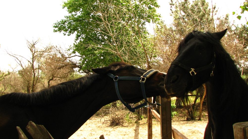Фотография автора Сергей Дёмин