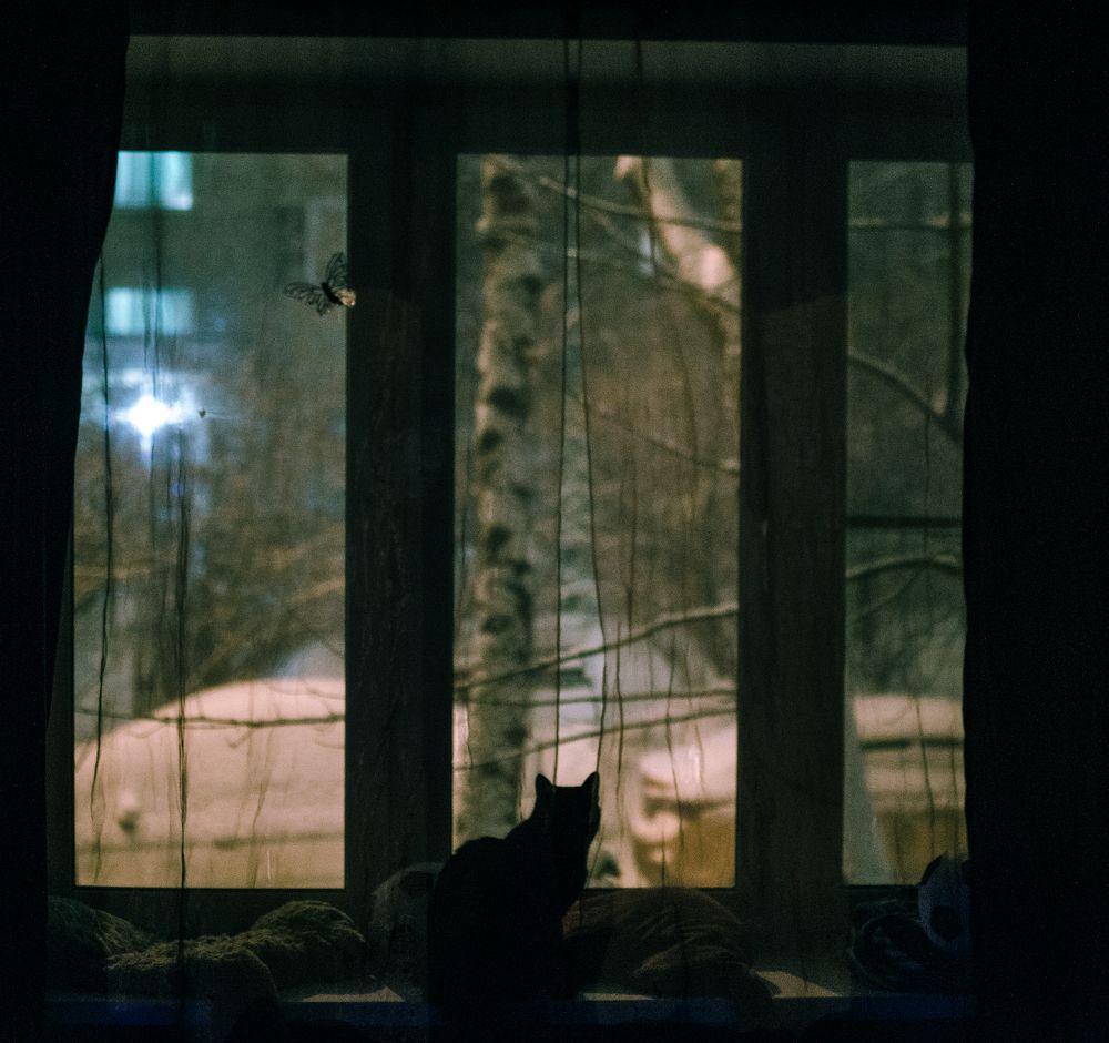 Photograph by Екатерина Николаева