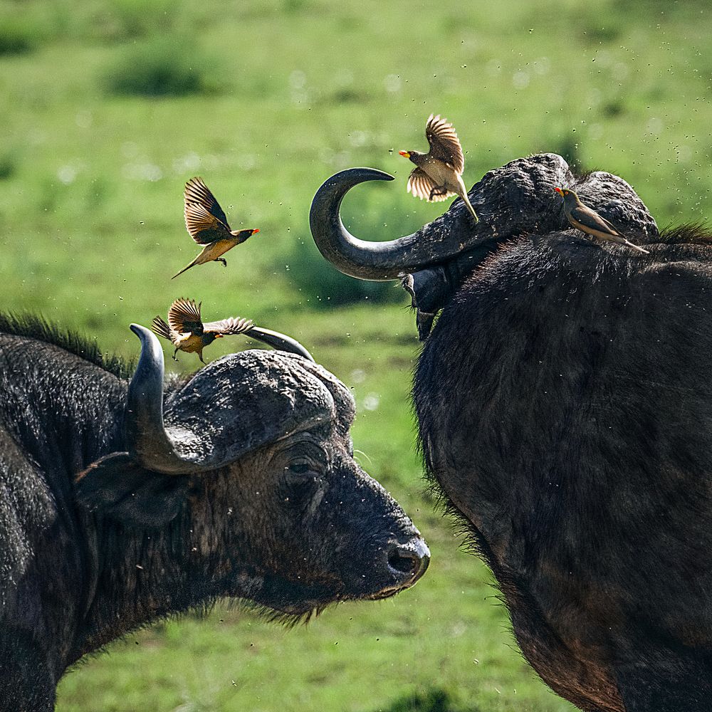 Фотография автора Dr.Hitesh Patel