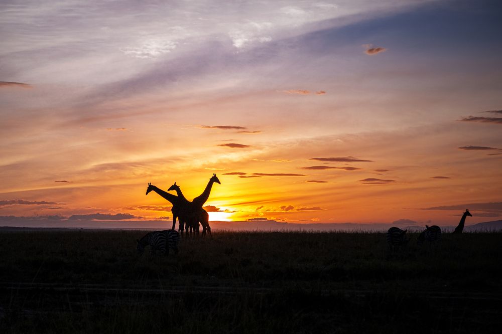 Фотография автора Dr.Hitesh Patel