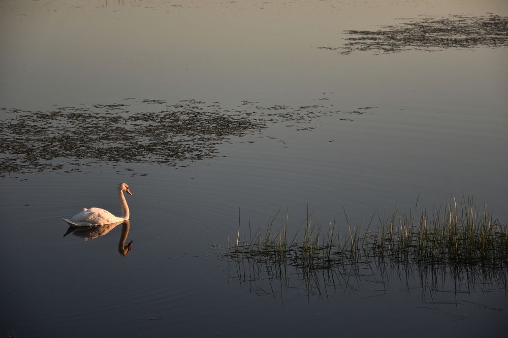 Выбирая путь...