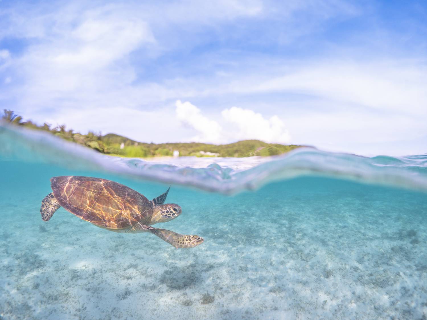 Фотография #7199472