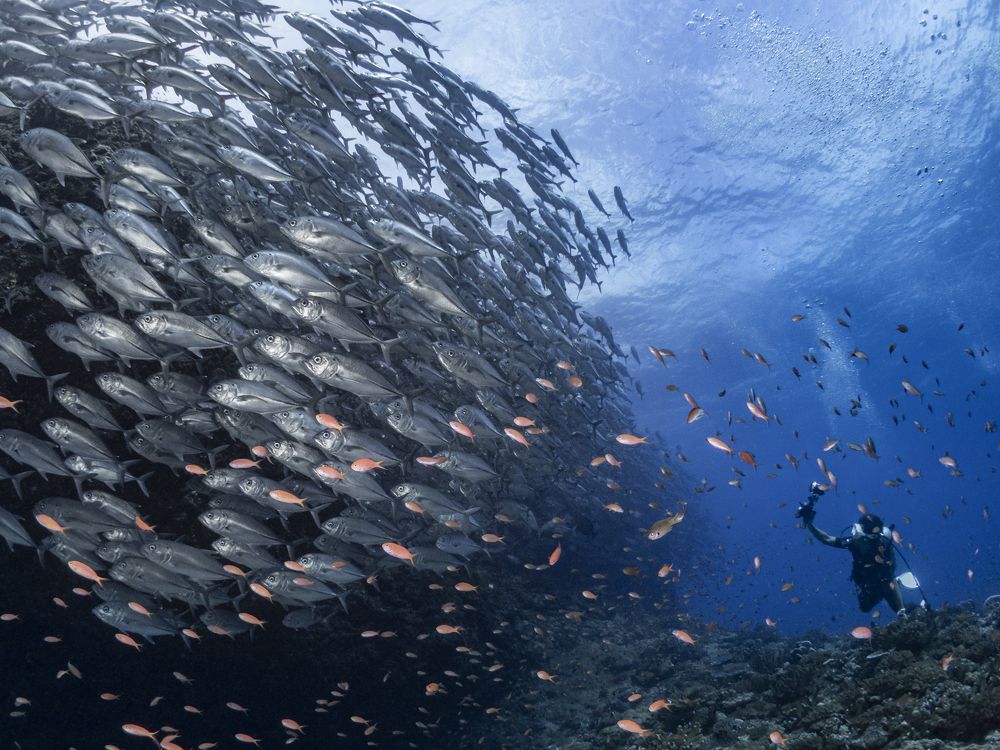 Photograph by Miura Erika